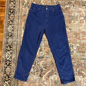BDG Mom High Rise Size 30 Corduroy-Style Pants (Blue)